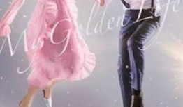 我黄金光辉的人生韩剧在线观看,韩剧在线观看，探寻人生辉煌之旅