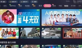 洛阳建业爆料事件视频播放,视频揭露惊人真相