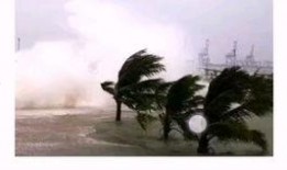 珠海金湾区爆料案件最新,案件细节披露，真相渐明