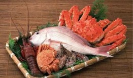 敦化海鲜爆料视频大全集,视频大全集深度解析