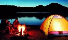 浙江野炊露营爆料事件视频,视频揭秘惊险瞬间