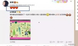 娱乐吃瓜酱过生日,星光熠熠，欢乐满溢