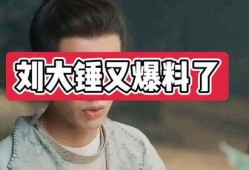 刘大锤2024最新爆料,揭秘娱乐圈惊天秘密