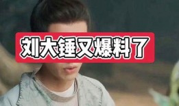 刘大锤2024最新爆料,揭秘娱乐圈惊天秘密