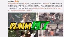董宝珍爆料林园视频播放,揭秘投资界风云