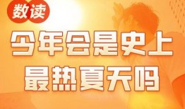 浙江观察最新爆料新闻,揭秘XX事件背后真相