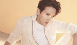 娱乐大爆料徐正溪,娱乐大爆料背后的璀璨星途