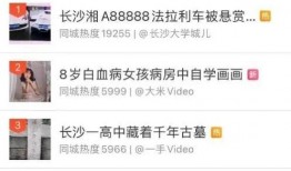 湖南新闻爆料视频大全播放,聚焦民生热点，揭示社会真相