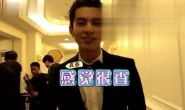 王鹤棣私下人品爆料视频,真实一面引网友热议