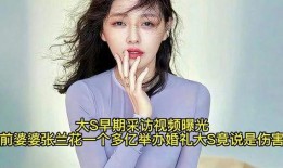 爆料婆婆视频下载,揭秘家庭矛盾背后的真相