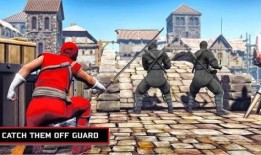 忍者刺客在线观看,暗影杀手的复仇之旅