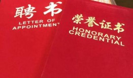 河南民生频道爆料新闻,揭开某地民生问题背后真相