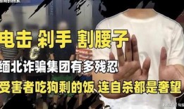 爆料缅北高清视频大全下载,高清视频大全下载背后的真相