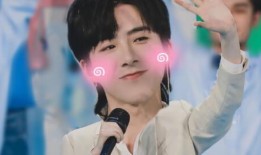 博主爆料刘宇宁视频,揭秘背后惊人真相！