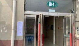 爆料卖惨夫妻怎么办啊视频,如何应对网络爆料背后的真相