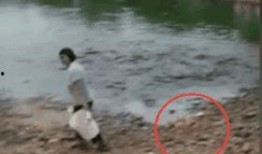 女子爆料自家鱼塘事件视频,揭秘背后惊人真相