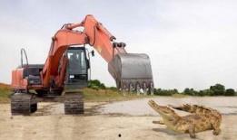 挖掘机视频大爆料,视频大爆料带你探秘工程巨兽