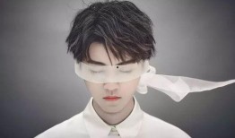 圈内爆料王一博王俊凯,揭秘兄弟情深与娱乐圈风云