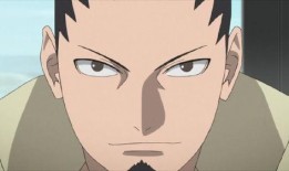 忍界鹿丸爆料视频大全集,揭秘忍者世界背后的秘密与真相