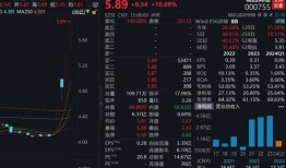 股票大爆料最新,最新股票大爆料深度解析