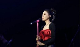 吴昕八卦爆料视频大全最新,视频大全深度解析