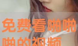 啪啪视频在线观看免费,揭秘啪啪视频在线观看的奥秘