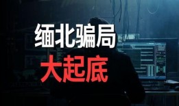 爆料缅北高清视频大全下载,高清视频大全下载背后的真相