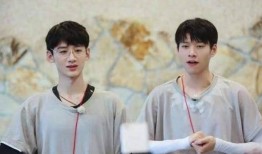 双北cp圈内人爆料,圈内人独家爆料