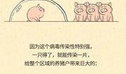 猪瘟最新爆料,揭秘病毒传播途径与防控措施