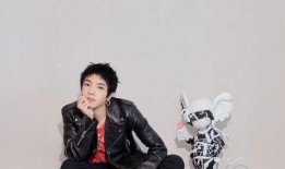 爱豆吃瓜娱乐酱华晨宇,爱豆吃瓜娱乐酱，揭秘明星背后的故事