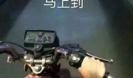 圈内爆料每天吃瓜