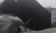 郑州今日爆料事件,惊曝重大事件引发社会关注