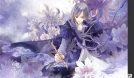 哑舍爆料四姐的视频,视频爆料背后的惊人真相