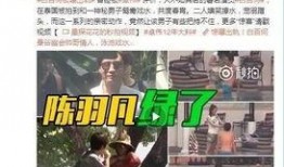 董承鹏爆料大鹏视频,揭秘娱乐圈背后的真相