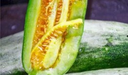 香港的网红吃瓜,揭秘娱乐圈最新“瓜田”风云