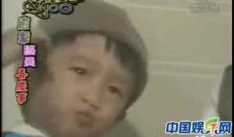 超萌爆料视频大全,萌宠瞬间，笑料横生