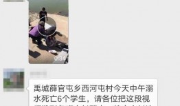 爆料禹城事件视频播放全集,揭秘事件真相与背后故事