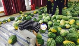 光山网红邱县长吃瓜视频,揭秘光山网红现象