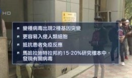 印度政府爆料新闻视频,独家新闻视频揭秘内幕