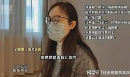刘鑫媳妇爆料视频大全,揭秘事件背后真相