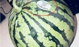 网红同款吃瓜图片头像,揭秘网络红人的潮流风向标