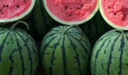 新乐吃瓜视频免费观看下载,免费观看与下载，畅享娱乐盛宴