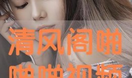 啪啪视频在线观看免费,揭秘啪啪视频在线观看的奥秘