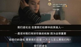 大佬爆料视频素材,视频素材背后的惊人真相