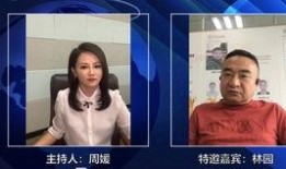 董宝珍爆料林园视频播放,揭秘投资界风云