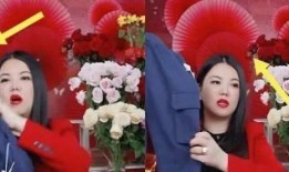 三亚主持人爆料事件最新,揭秘幕后真相与争议漩涡