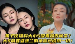 大s爆料最新消息录音,娱乐圈风云再起