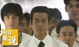 白色巨塔日剧 在线观看,揭秘医院权力斗争与人性挣扎