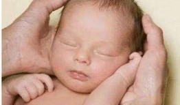 成都新生儿爆料事件最新,真相与争议交织的育儿风波