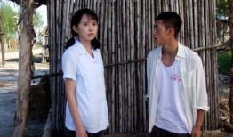 青谷子电视剧在线观看,穿越时空的青春传奇